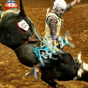 Meet your Posher, Travis